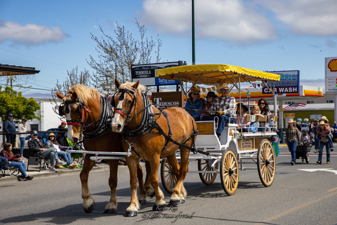 horse and buggy small | Sequim Irrigation Festival